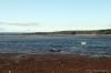 Findhorn July 2021 0065